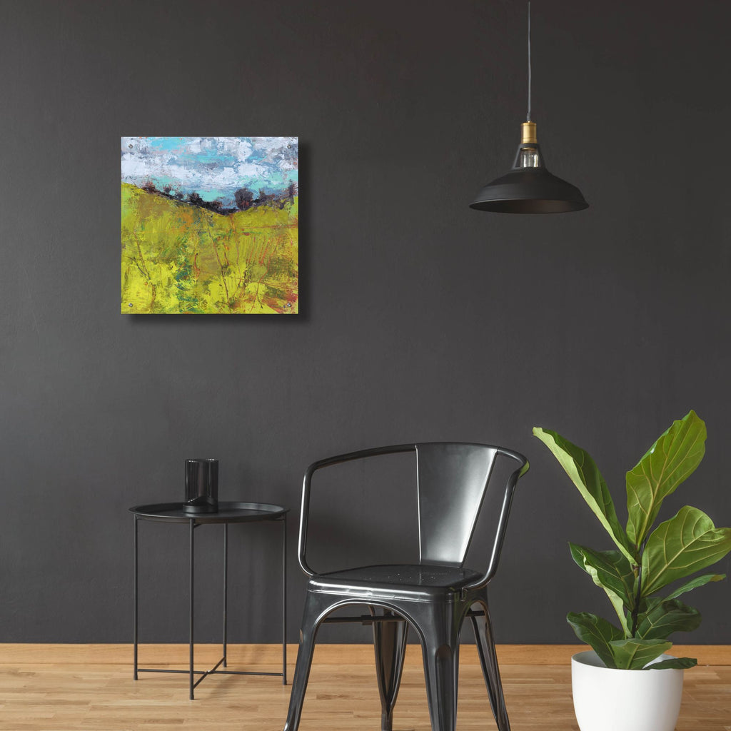 Epic Art 'Summer Sky' by Linda Nickell, Acrylic Glass Wall Art,24x24