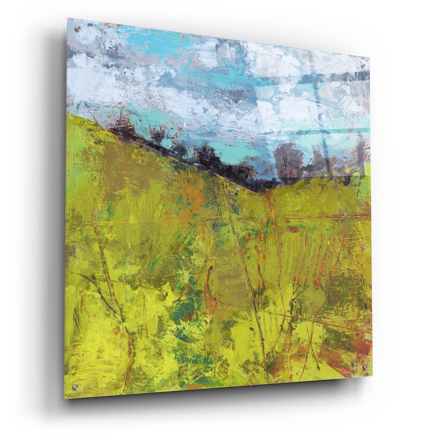 Epic Art 'Summer Sky' by Linda Nickell, Acrylic Glass Wall Art,36x36