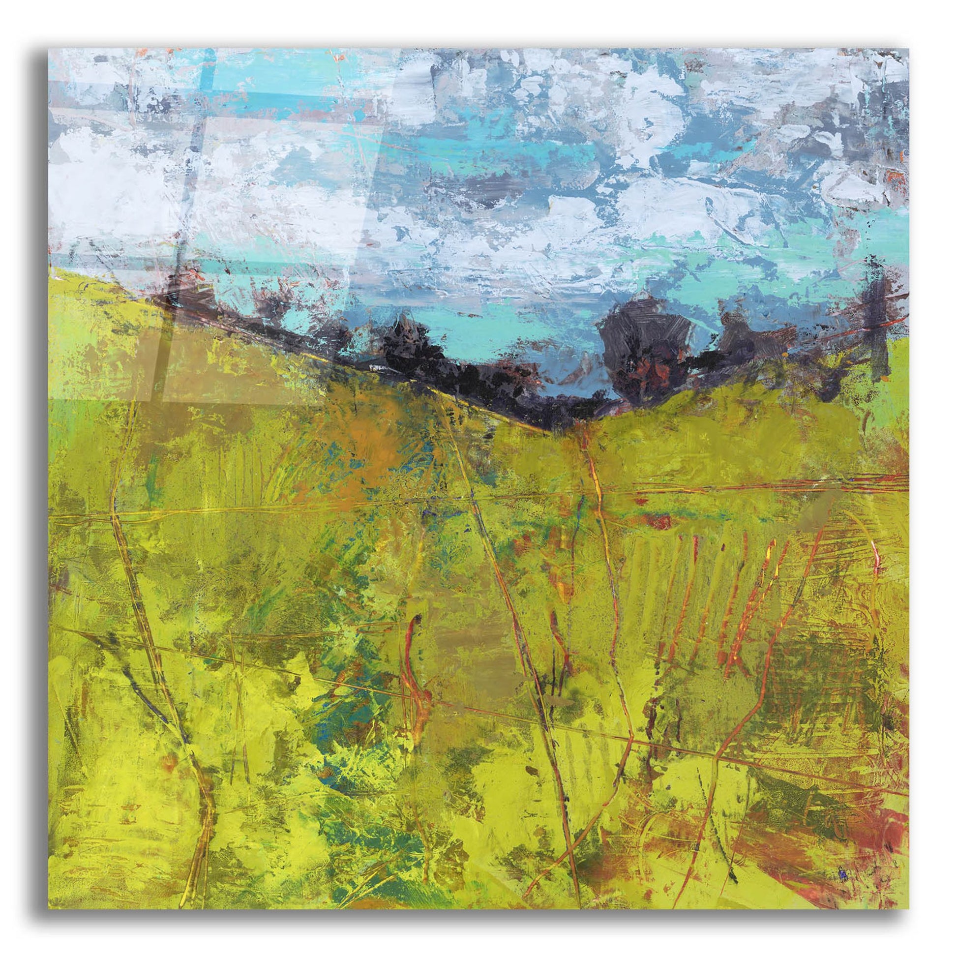 Epic Art 'Summer Sky' by Linda Nickell, Acrylic Glass Wall Art