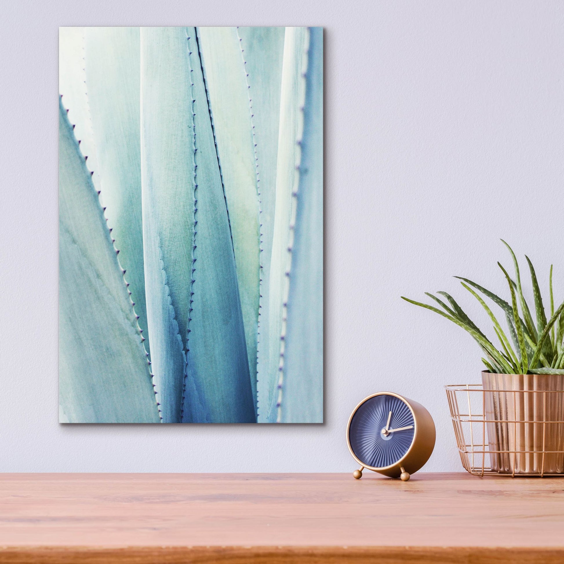 Epic Art 'Pale Blue Agave No. 1' by Lupen Grainne, Acrylic Glass Wall Art,12x16