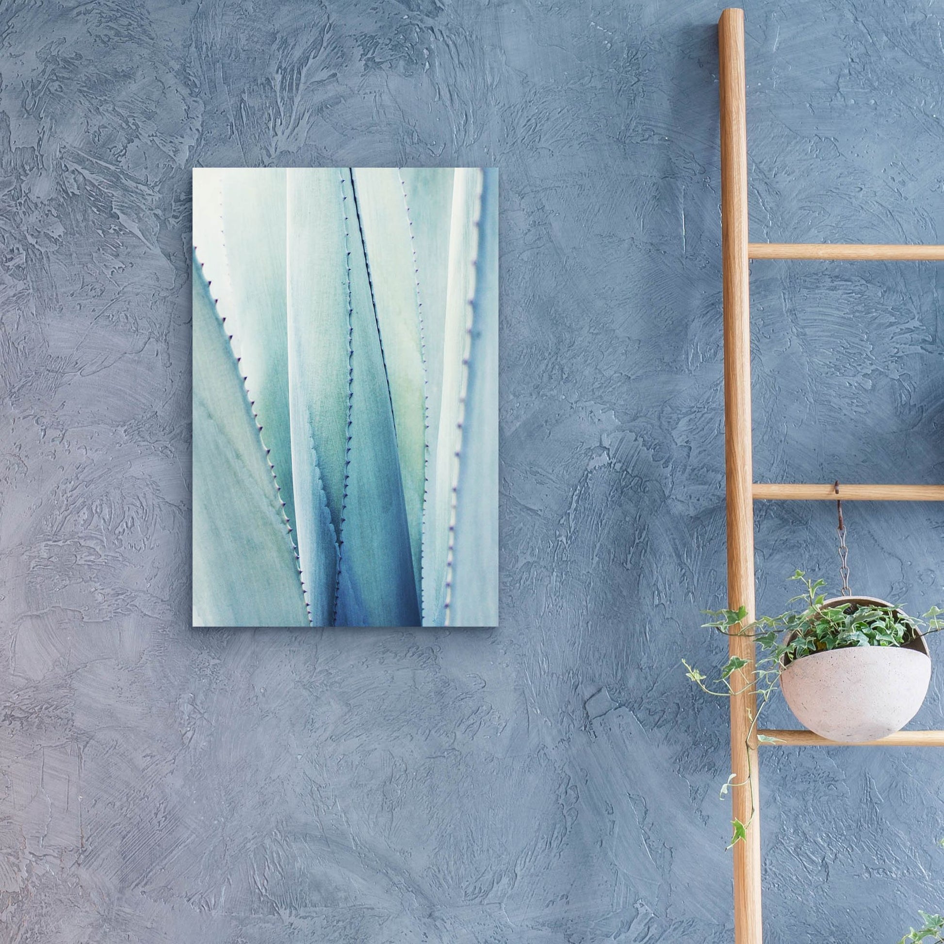 Epic Art 'Pale Blue Agave No. 1' by Lupen Grainne, Acrylic Glass Wall Art,16x24