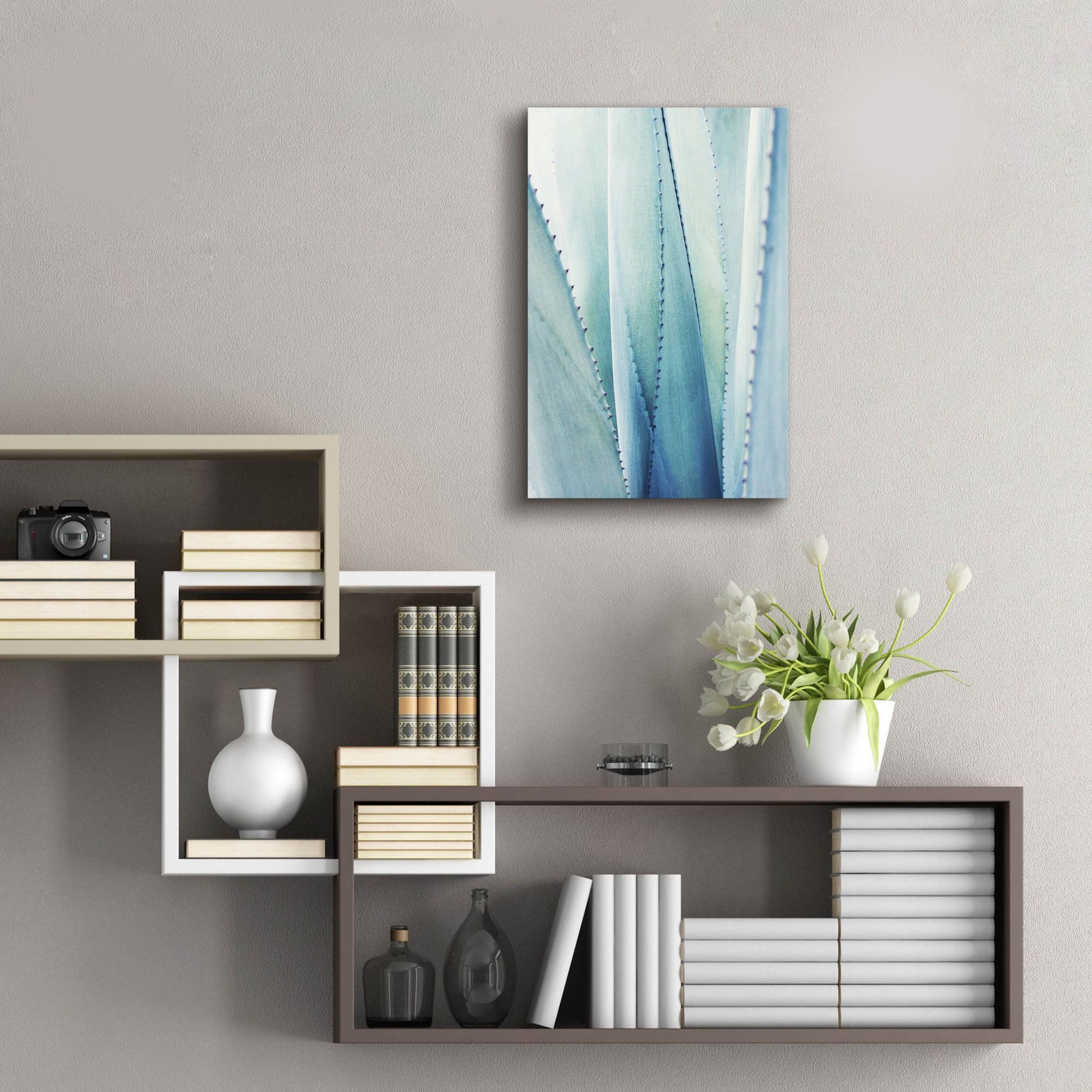 Epic Art 'Pale Blue Agave No. 1' by Lupen Grainne, Acrylic Glass Wall Art,16x24