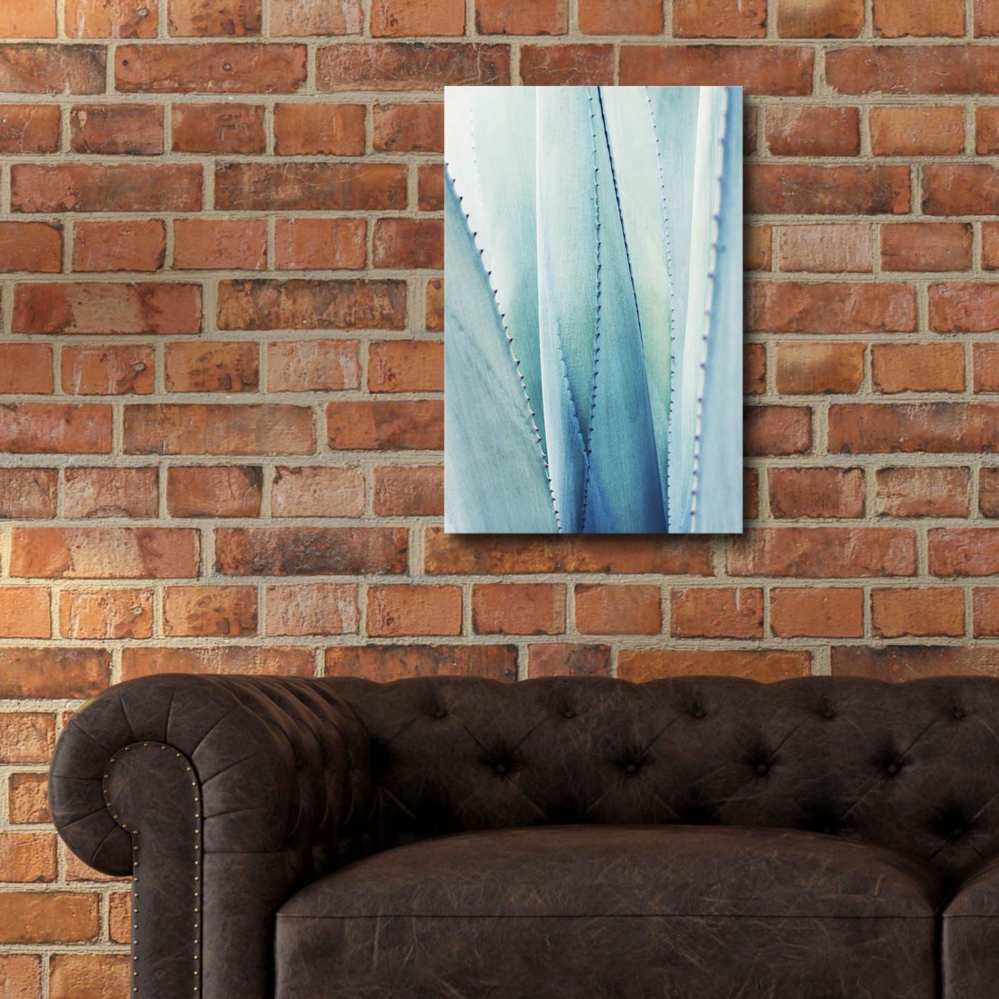 Epic Art 'Pale Blue Agave No. 1' by Lupen Grainne, Acrylic Glass Wall Art,16x24