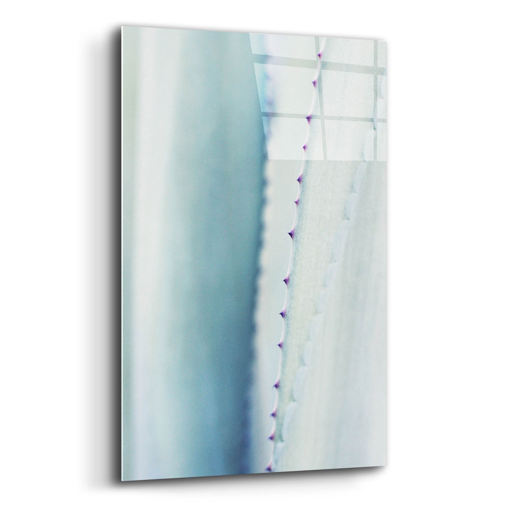 Epic Art 'Pale Blue Agave No. 2' by Lupen Grainne, Acrylic Glass Wall Art,12x16