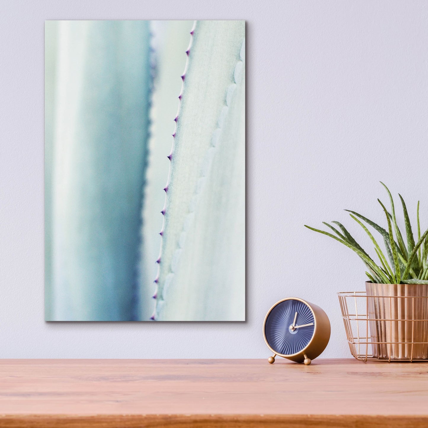 Epic Art 'Pale Blue Agave No. 2' by Lupen Grainne, Acrylic Glass Wall Art,12x16