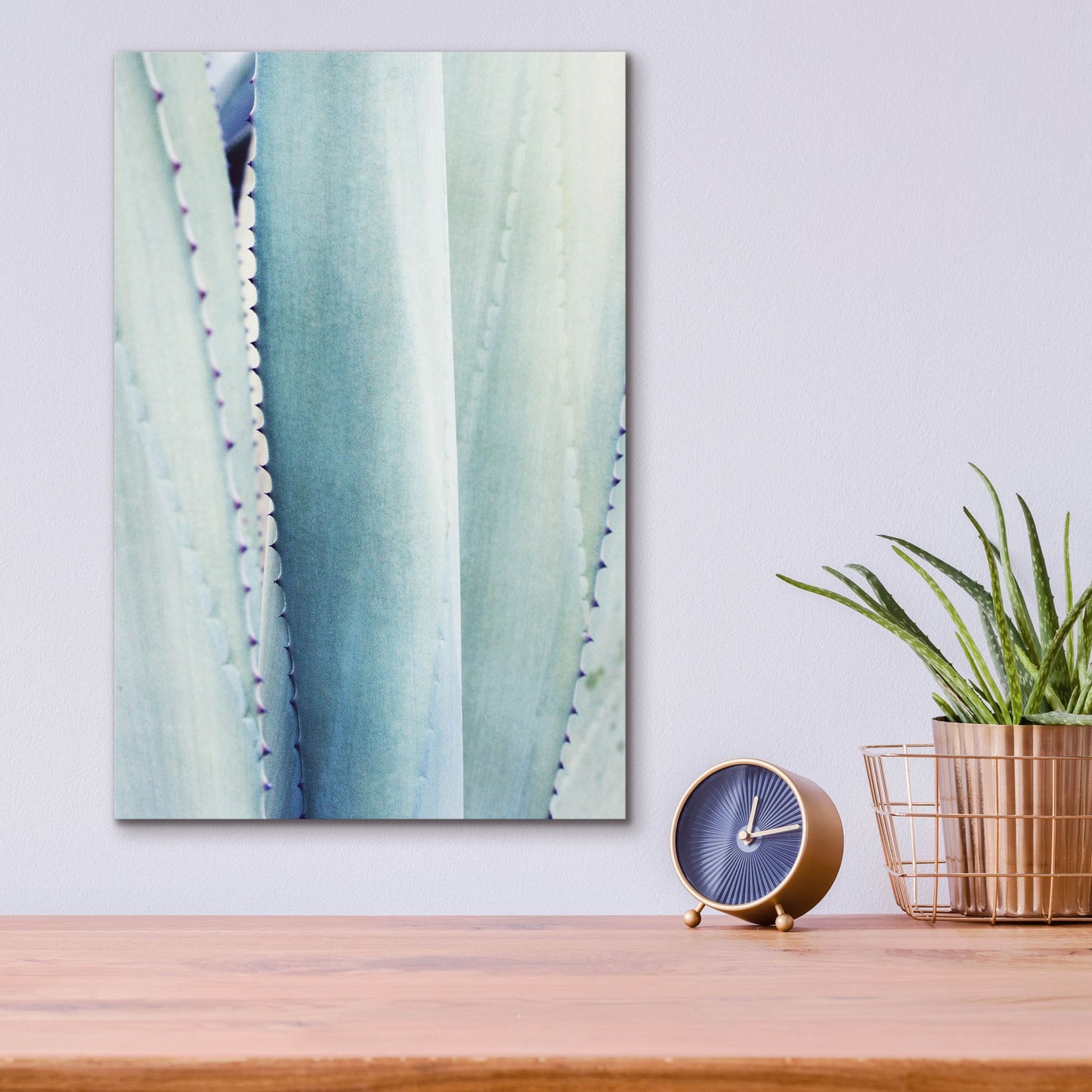 Epic Art 'Pale Blue Agave No. 3' by Lupen Grainne, Acrylic Glass Wall Art,12x16