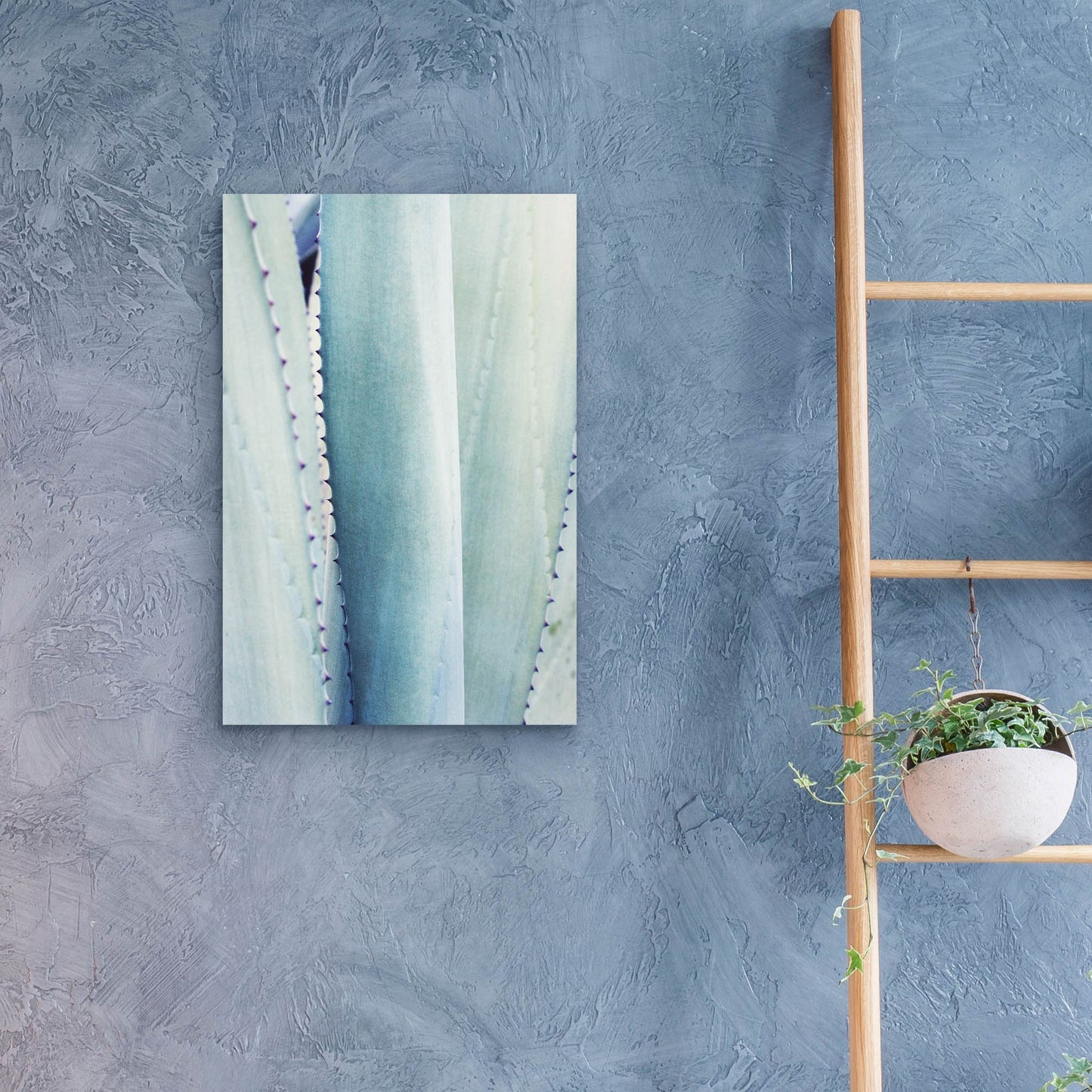 Epic Art 'Pale Blue Agave No. 3' by Lupen Grainne, Acrylic Glass Wall Art,16x24