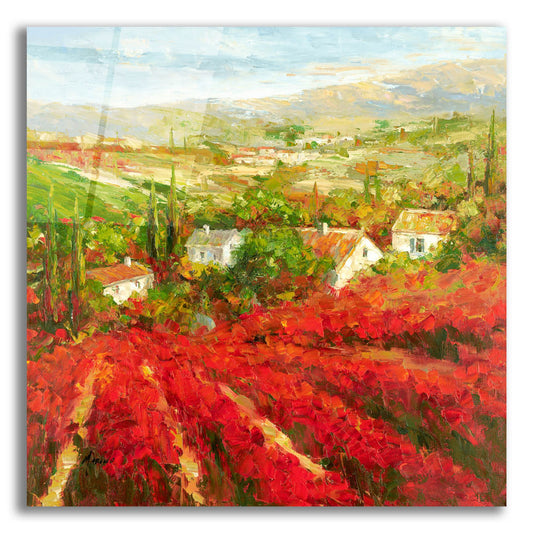 Epic Art 'Bourgogne' by Marino, Acrylic Glass Wall Art