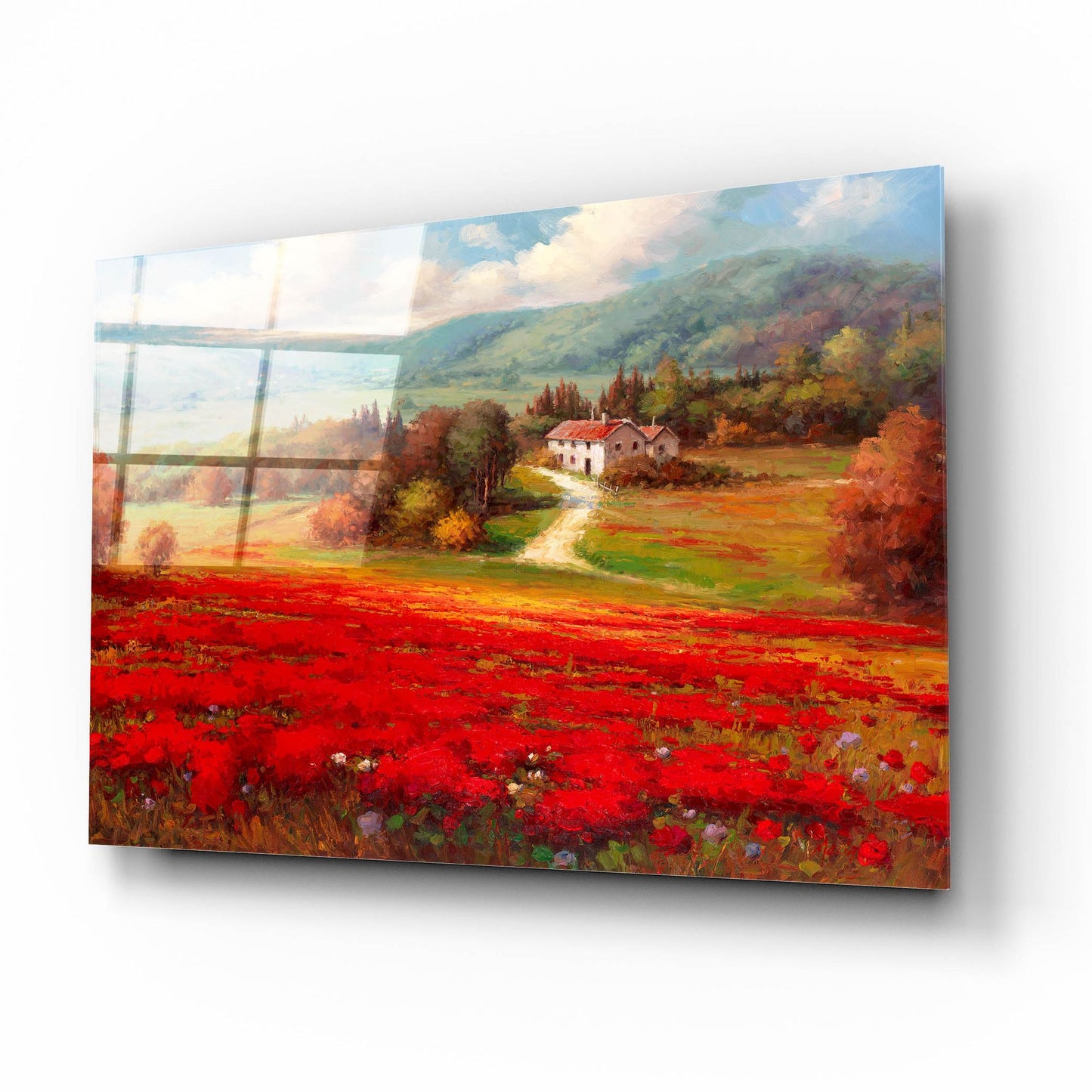 Epic Art 'Poppy Fields Afar' by Marino, Acrylic Glass Wall Art,16x12