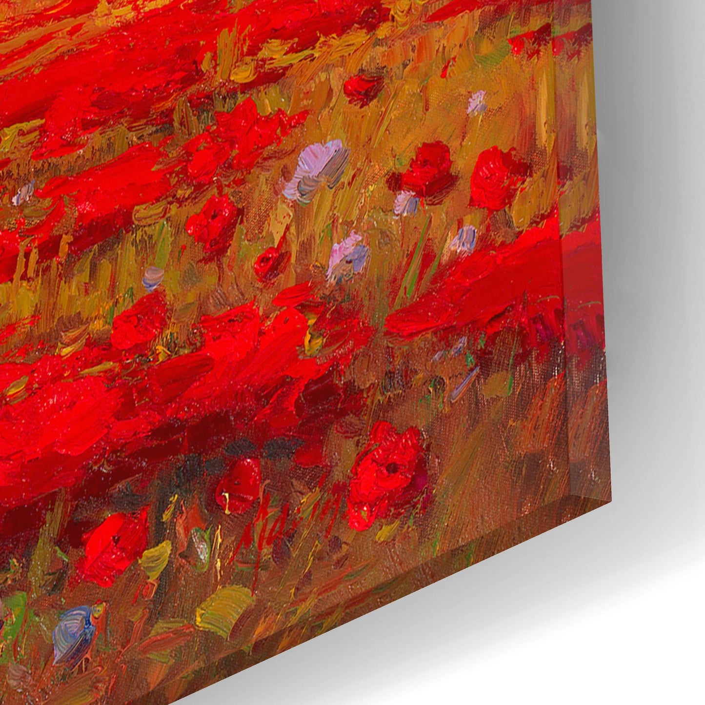 Epic Art 'Poppy Fields Afar' by Marino, Acrylic Glass Wall Art,16x12