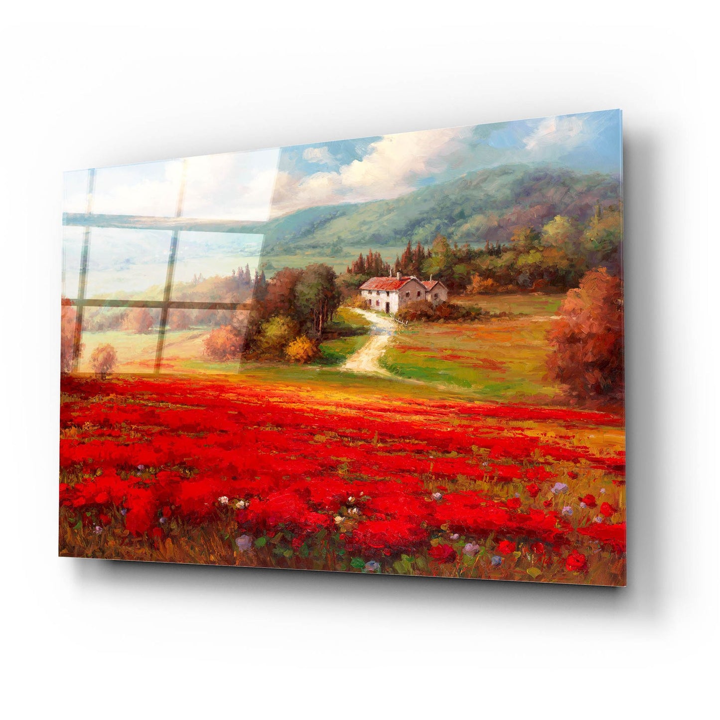 Epic Art 'Poppy Fields Afar' by Marino, Acrylic Glass Wall Art,24x16