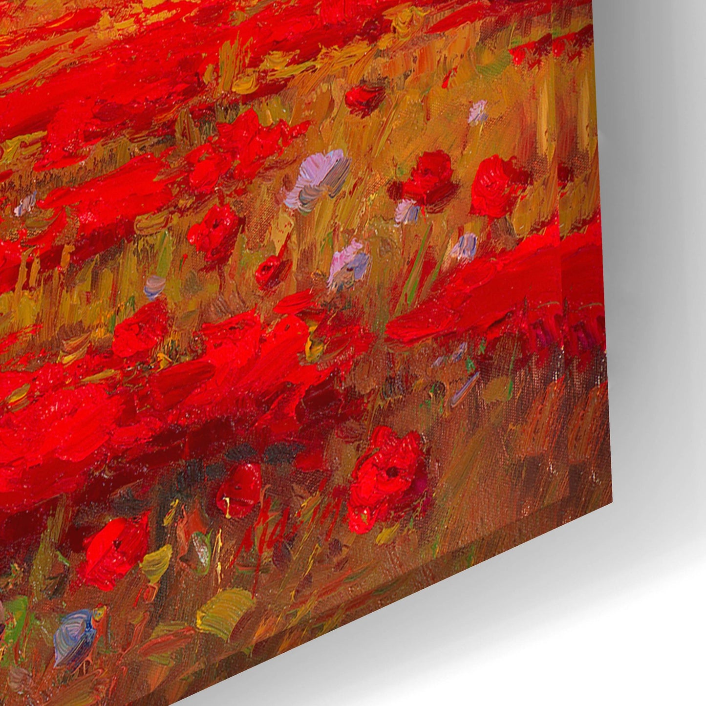 Epic Art 'Poppy Fields Afar' by Marino, Acrylic Glass Wall Art,24x16