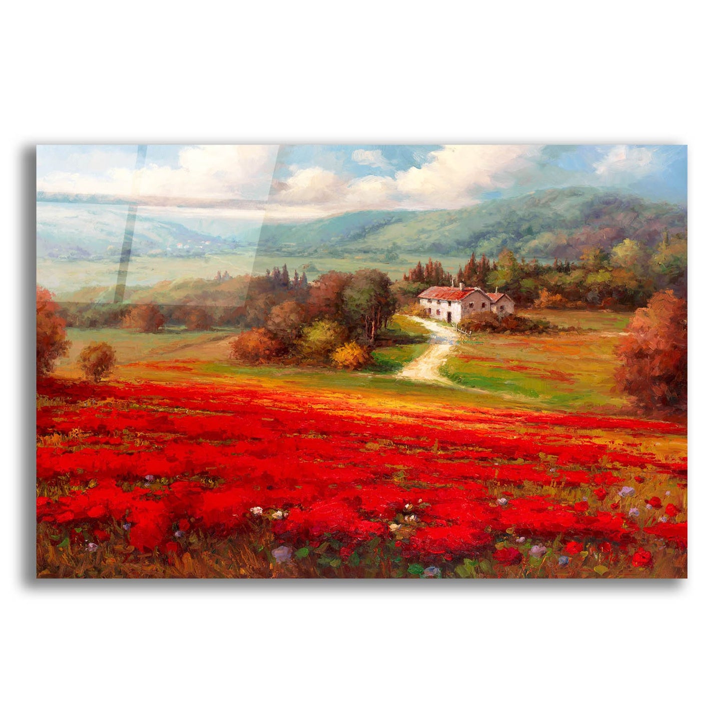 Epic Art 'Poppy Fields Afar' by Marino, Acrylic Glass Wall Art,24x16