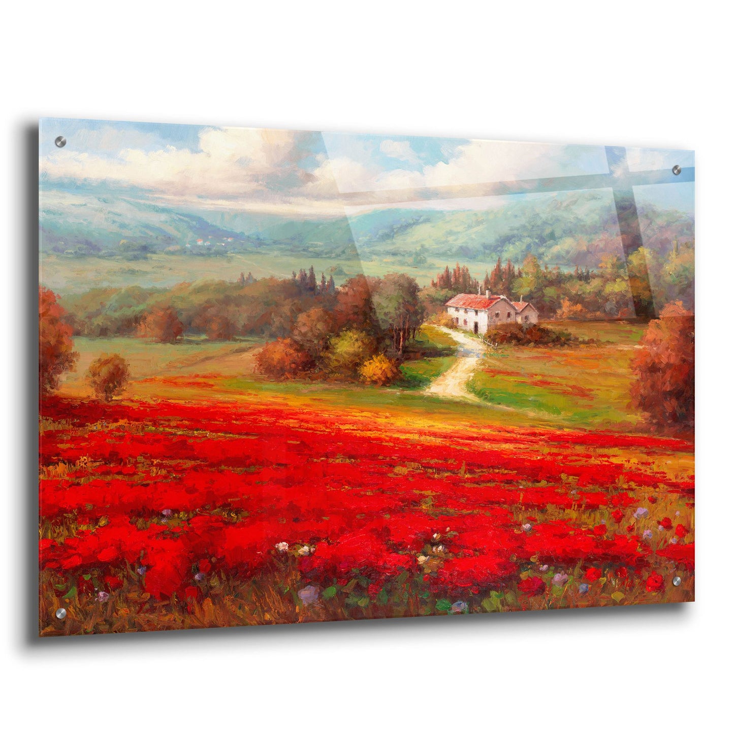 Epic Art 'Poppy Fields Afar' by Marino, Acrylic Glass Wall Art,36x24