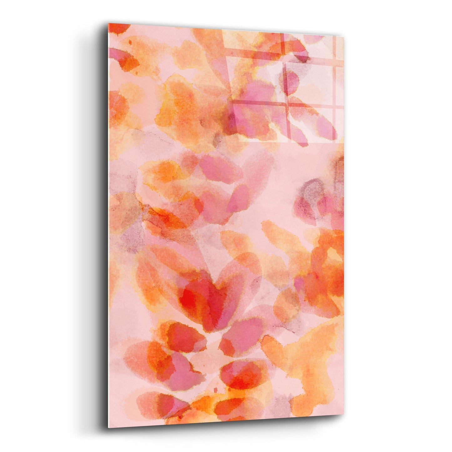 Epic Art 'Bloom Rose' by Morioke, Acrylic Glass Wall Art,12x16