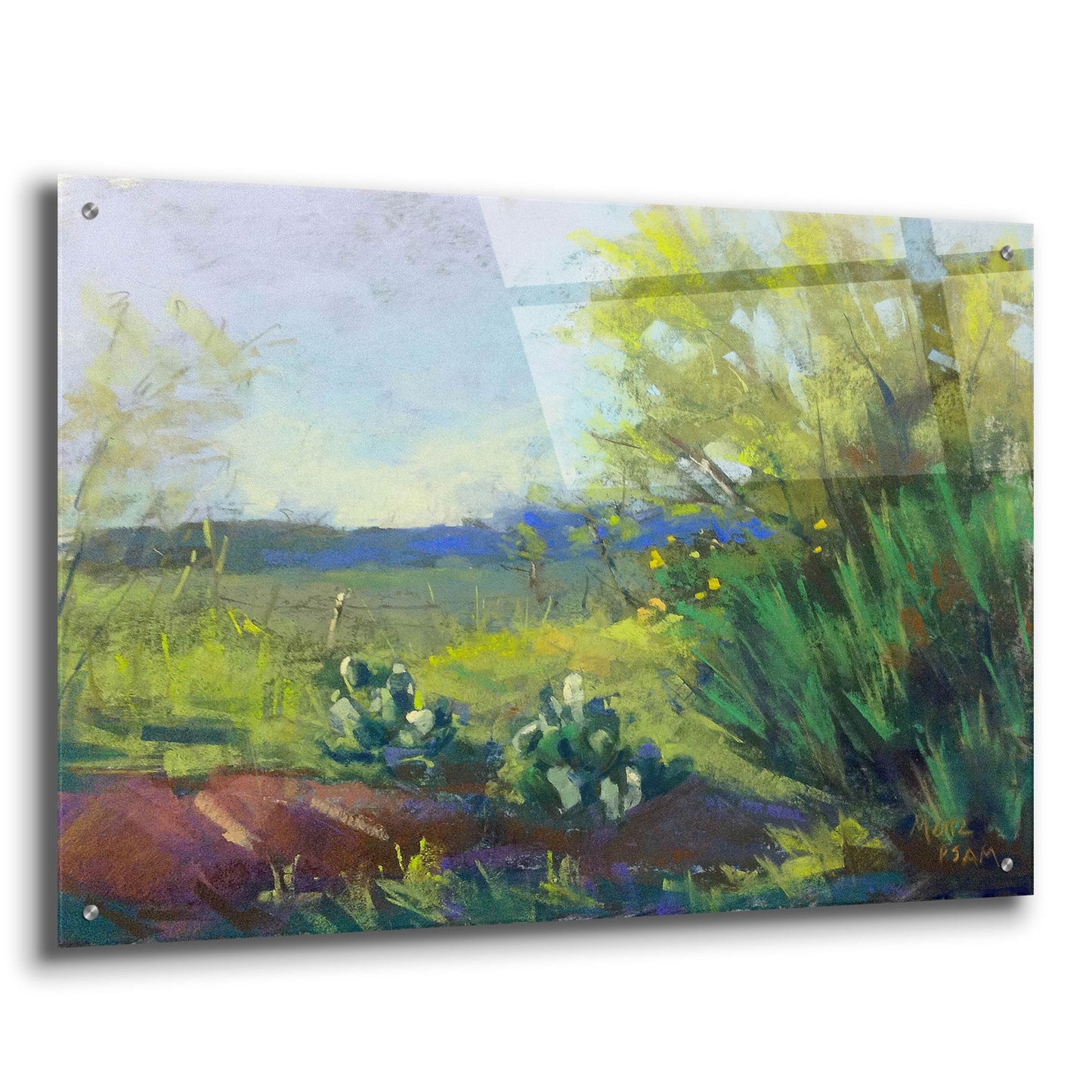 Epic Art 'Above San Angelo' by Nancie King Mertz, Acrylic Glass Wall Art,36x24