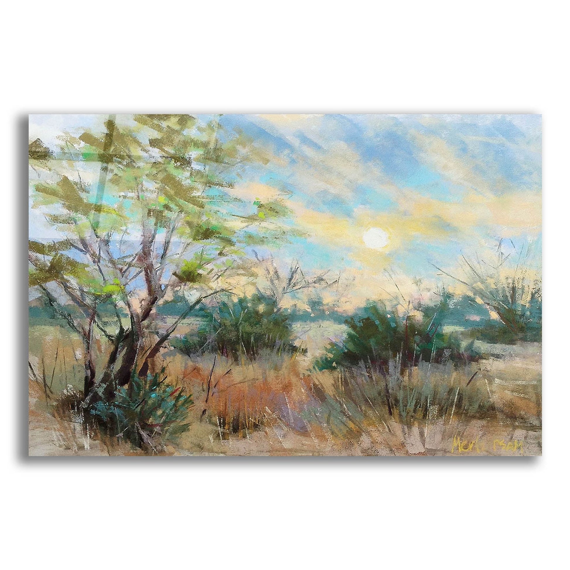 Epic Art 'Texas Sunrise' by Nancie King Mertz, Acrylic Glass Wall Art,24x16