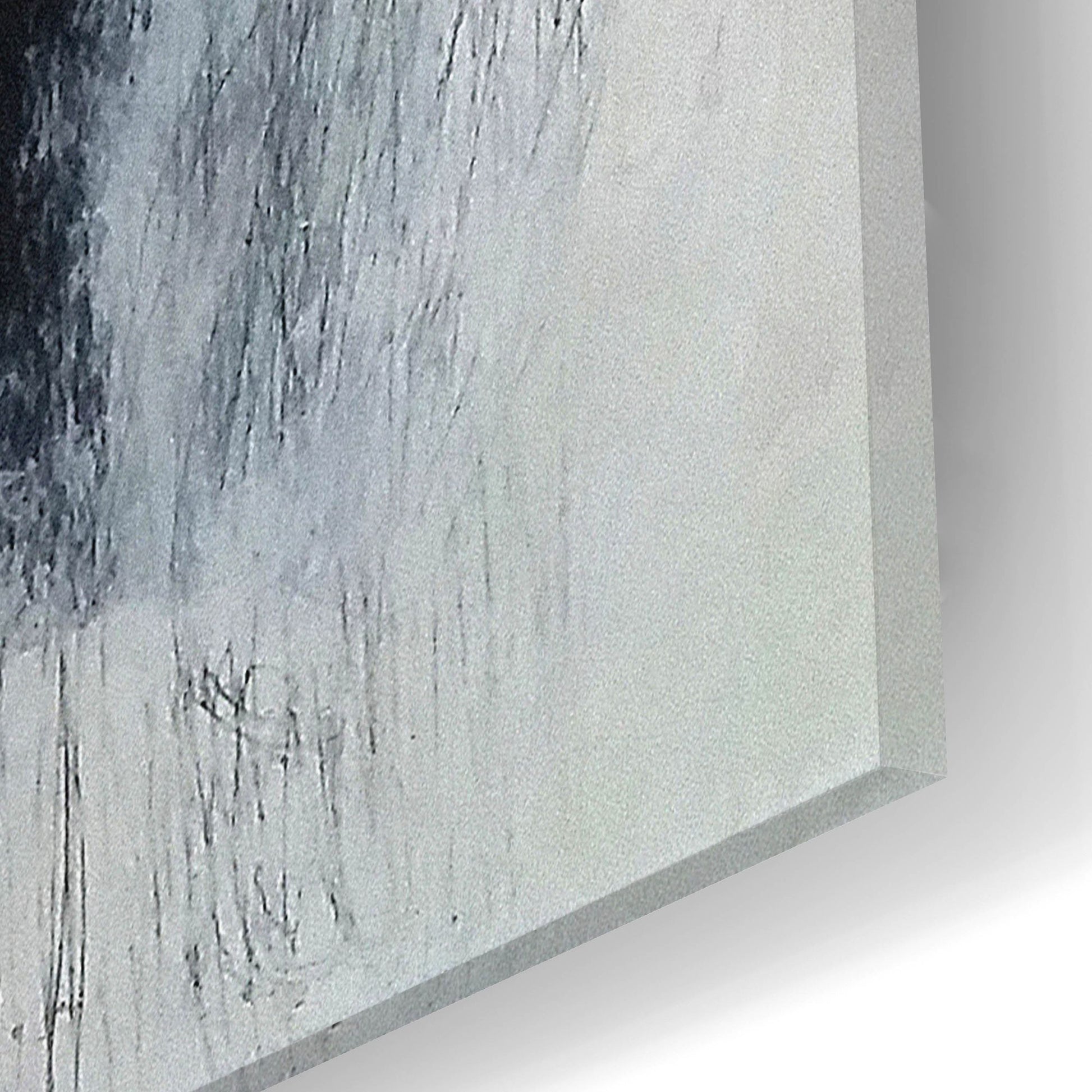 Epic Art 'Never Pass Here' by Nicole Hoeft, Acrylic Glass Wall Art,12x12