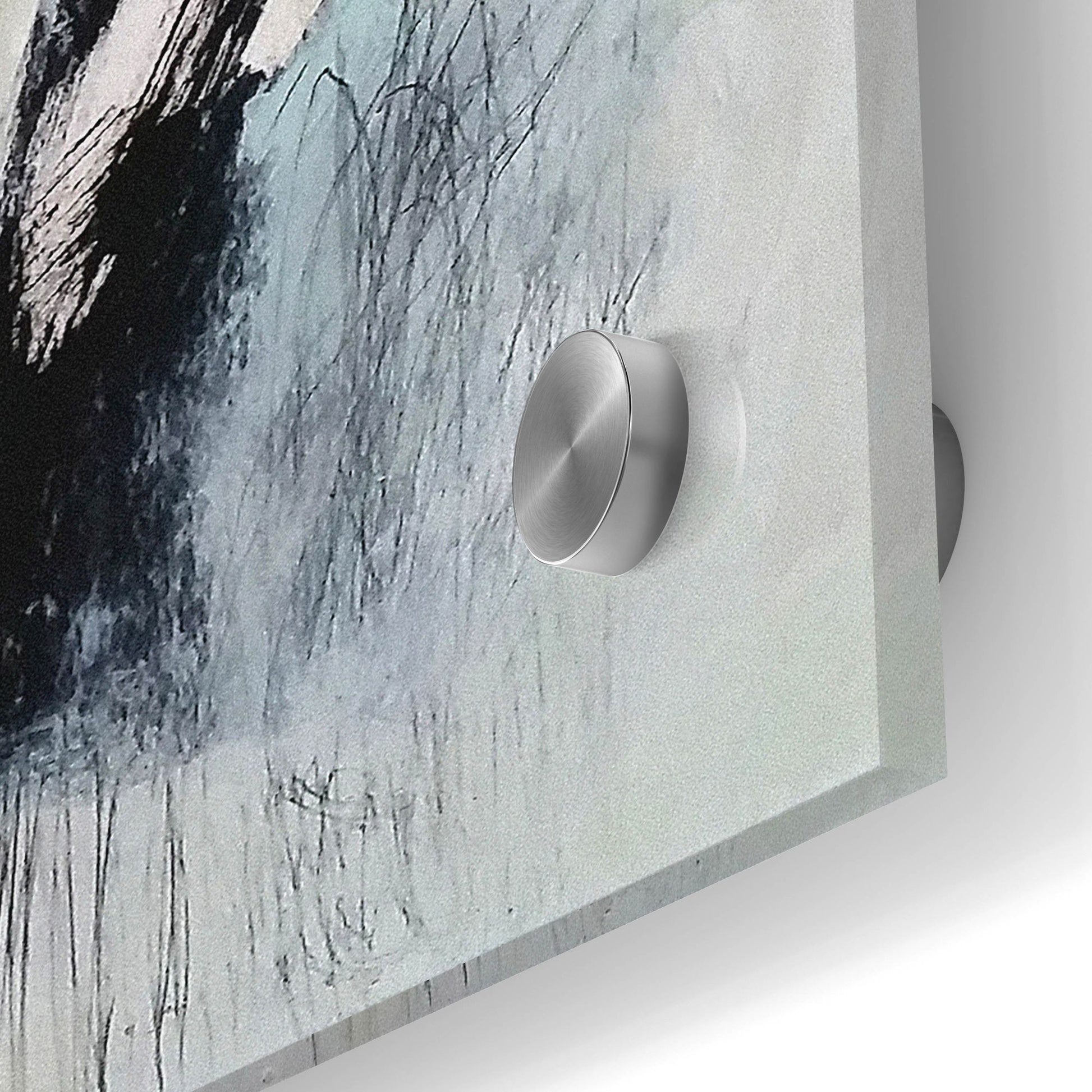 Epic Art 'Never Pass Here' by Nicole Hoeft, Acrylic Glass Wall Art,24x24