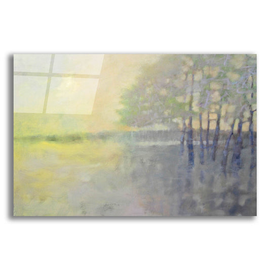 Epic Art 'Spring Flood' by Pam Hassler, Acrylic Glass Wall Art
