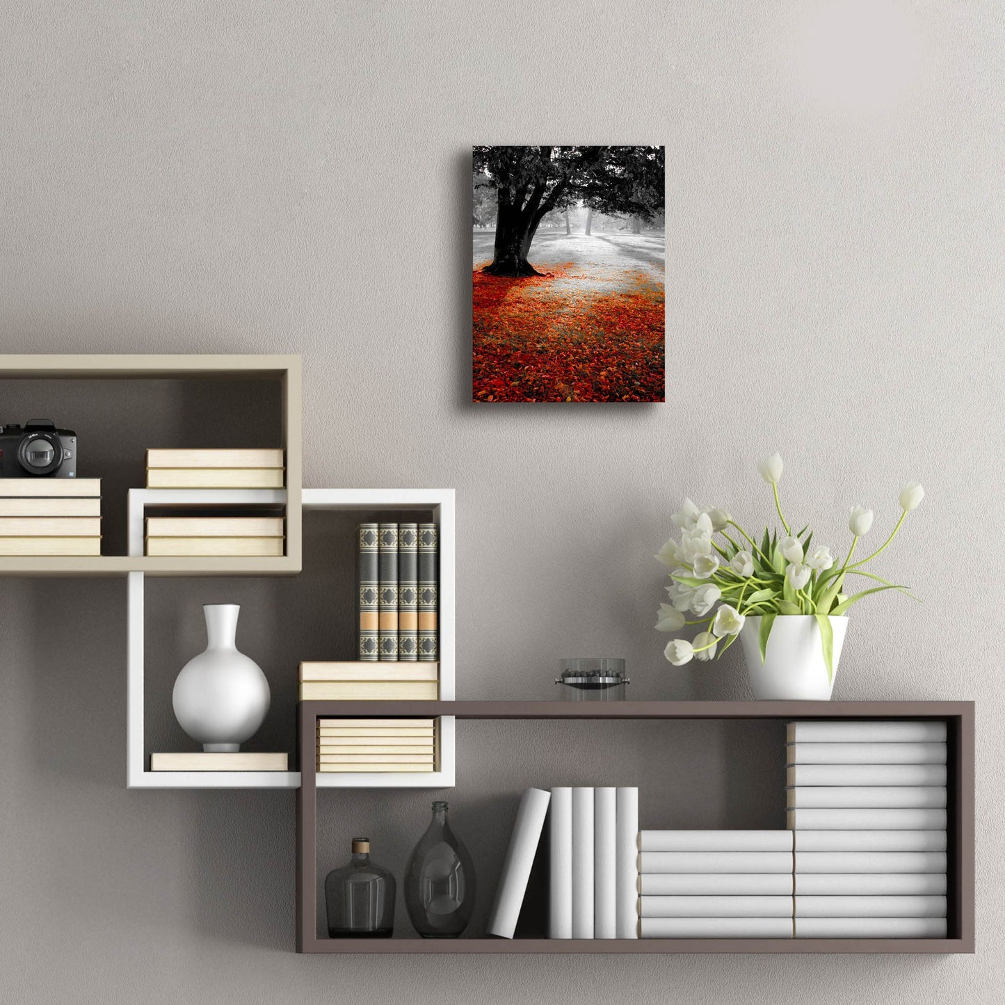 Epic Art 'Autumn Contrast' by Photoinc Studio, Acrylic Glass Wall Art,12x16