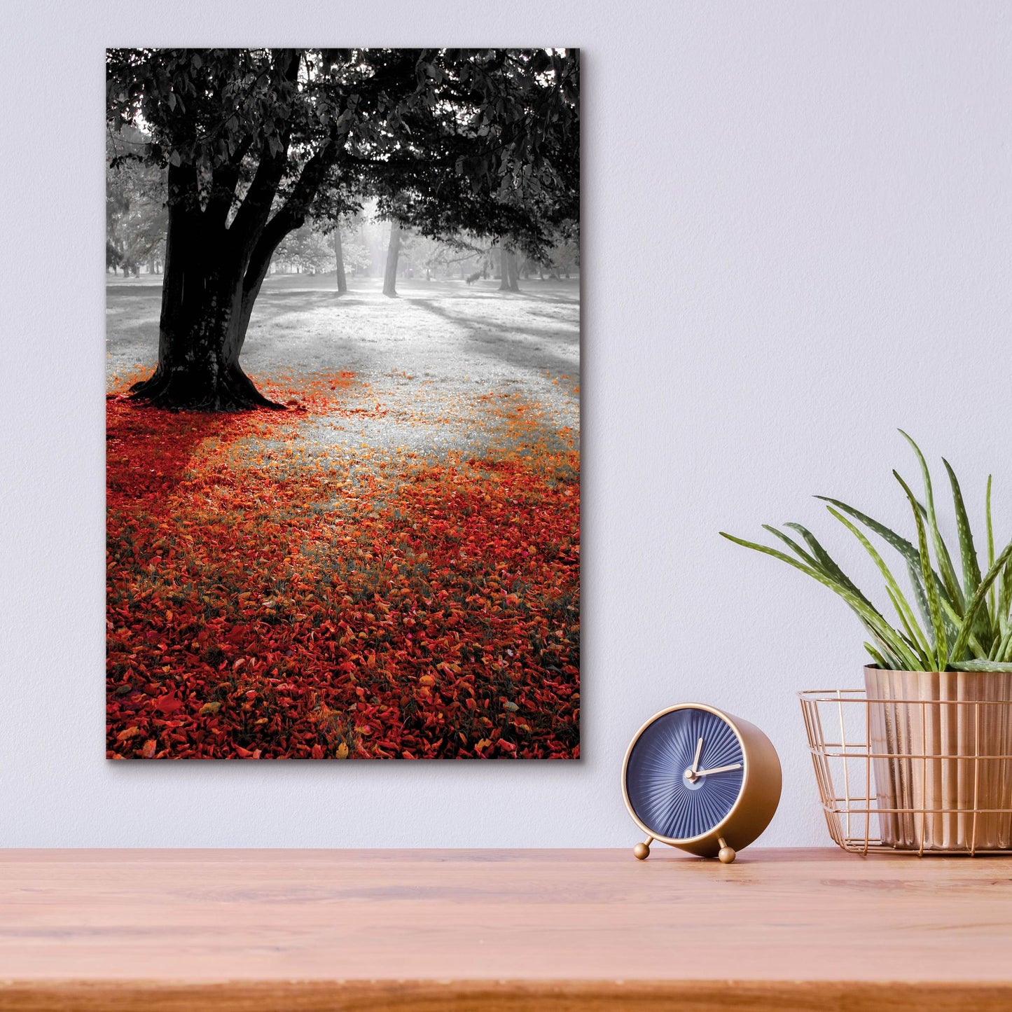 Epic Art 'Autumn Contrast' by Photoinc Studio, Acrylic Glass Wall Art,12x16