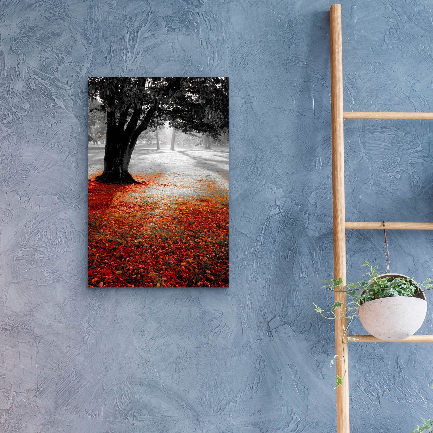 Epic Art 'Autumn Contrast' by Photoinc Studio, Acrylic Glass Wall Art,16x24