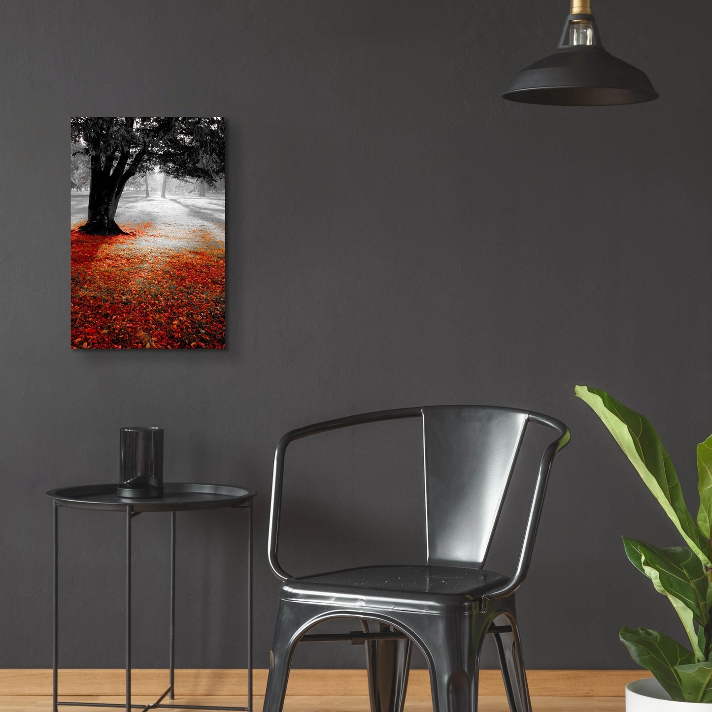 Epic Art 'Autumn Contrast' by Photoinc Studio, Acrylic Glass Wall Art,16x24