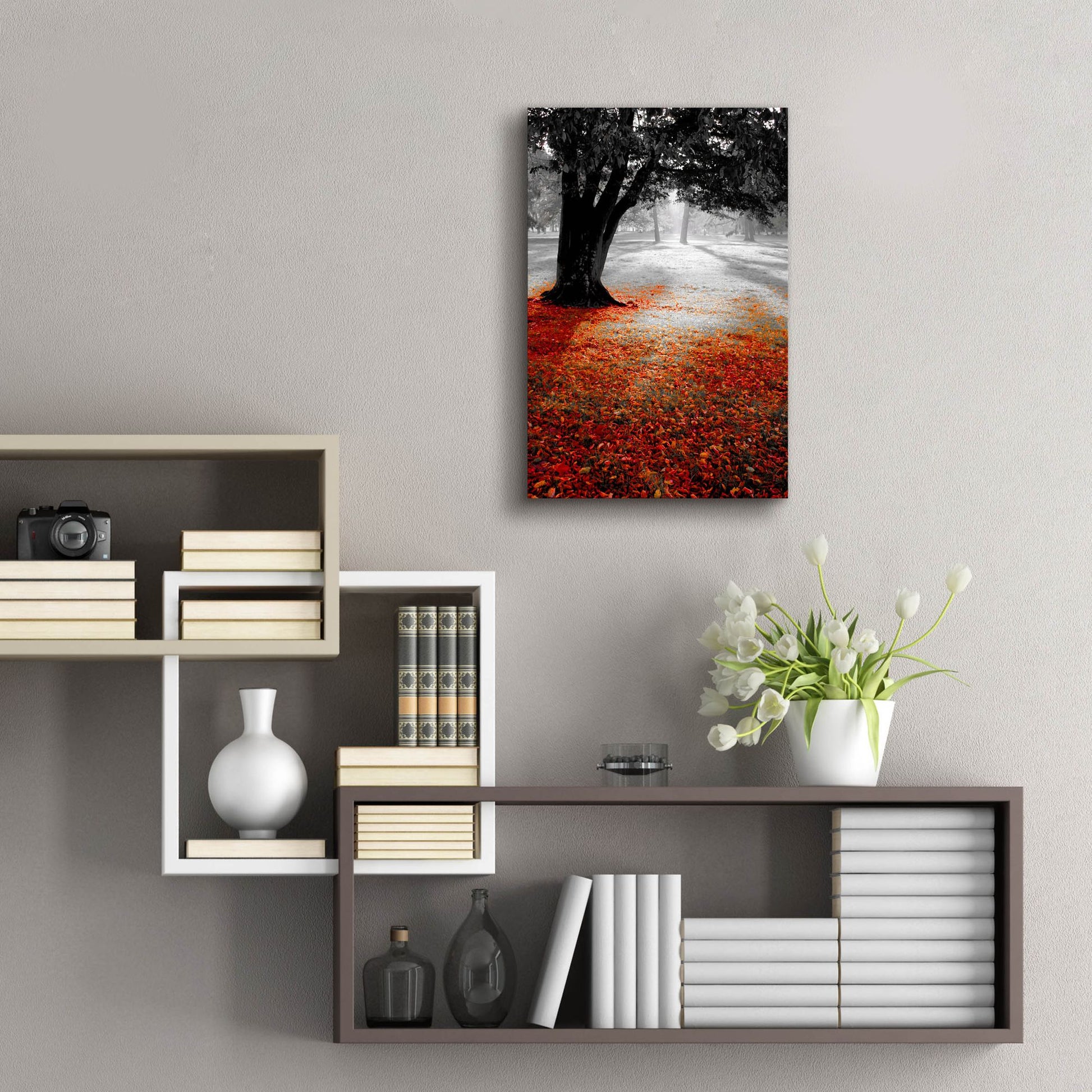 Epic Art 'Autumn Contrast' by Photoinc Studio, Acrylic Glass Wall Art,16x24