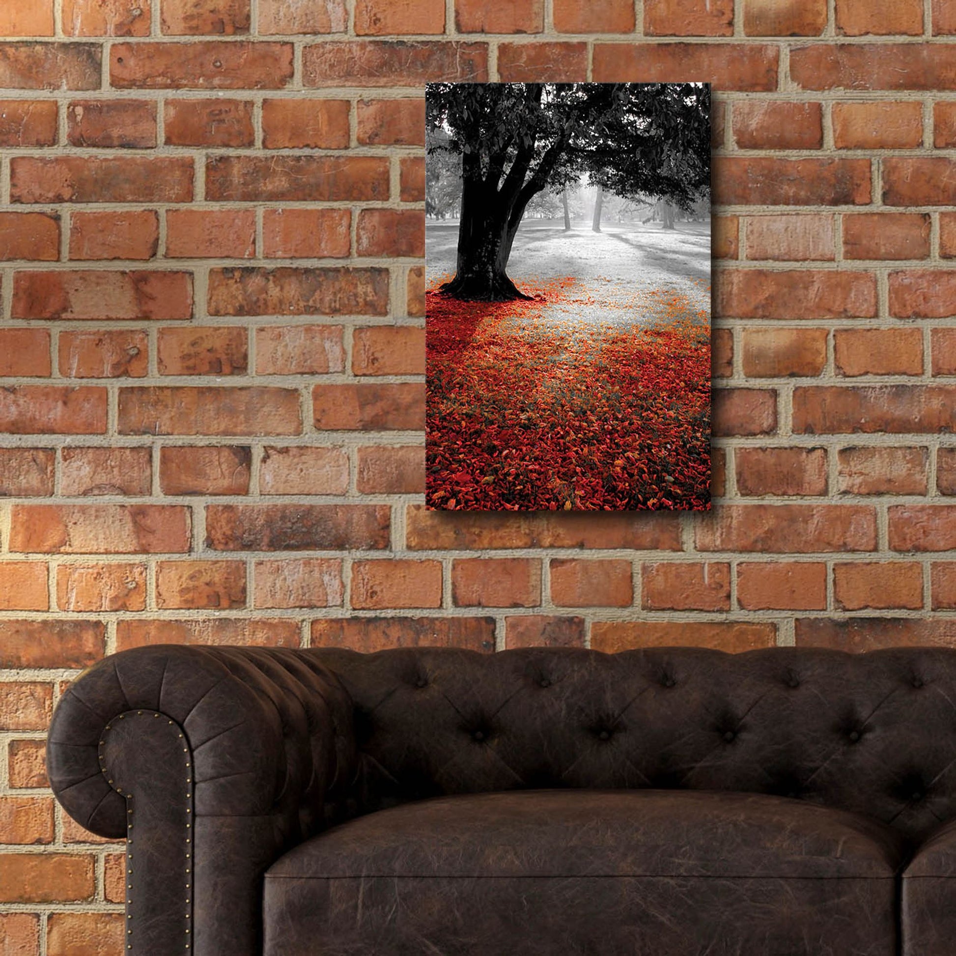 Epic Art 'Autumn Contrast' by Photoinc Studio, Acrylic Glass Wall Art,16x24