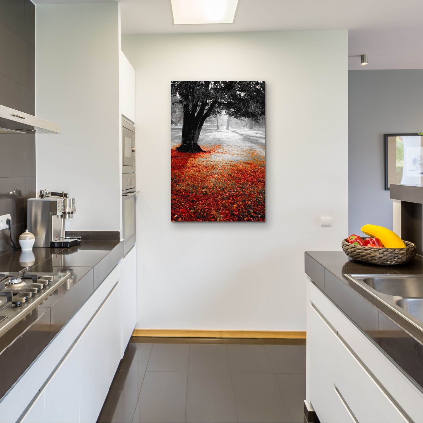 Epic Art 'Autumn Contrast' by Photoinc Studio, Acrylic Glass Wall Art,24x36