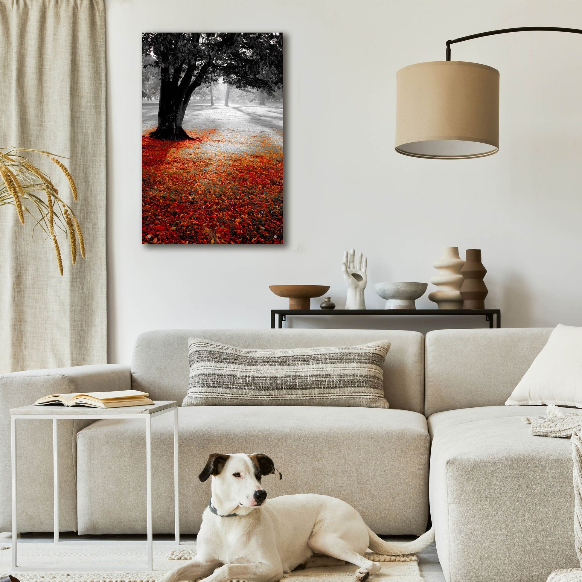 Epic Art 'Autumn Contrast' by Photoinc Studio, Acrylic Glass Wall Art,24x36