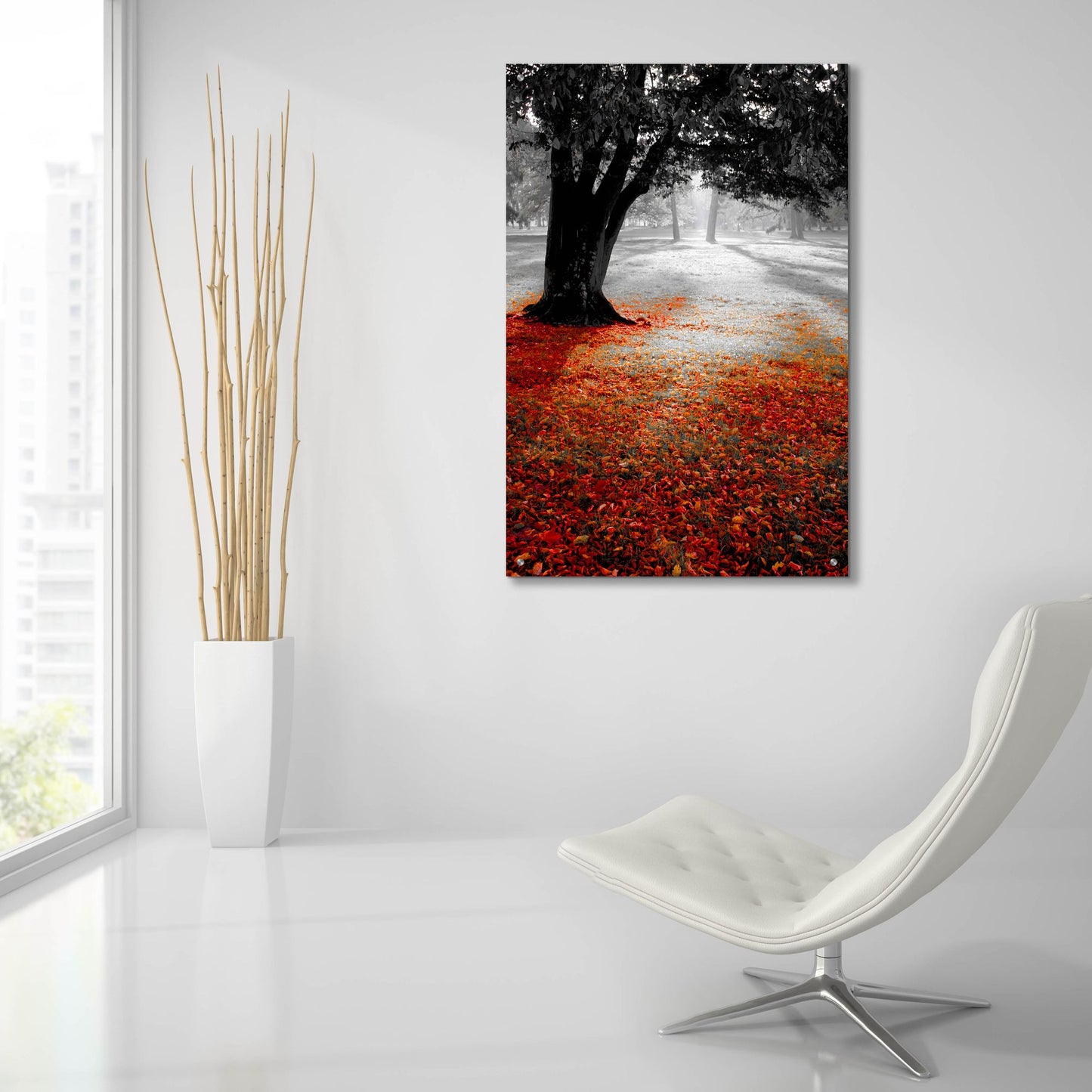 Epic Art 'Autumn Contrast' by Photoinc Studio, Acrylic Glass Wall Art,24x36