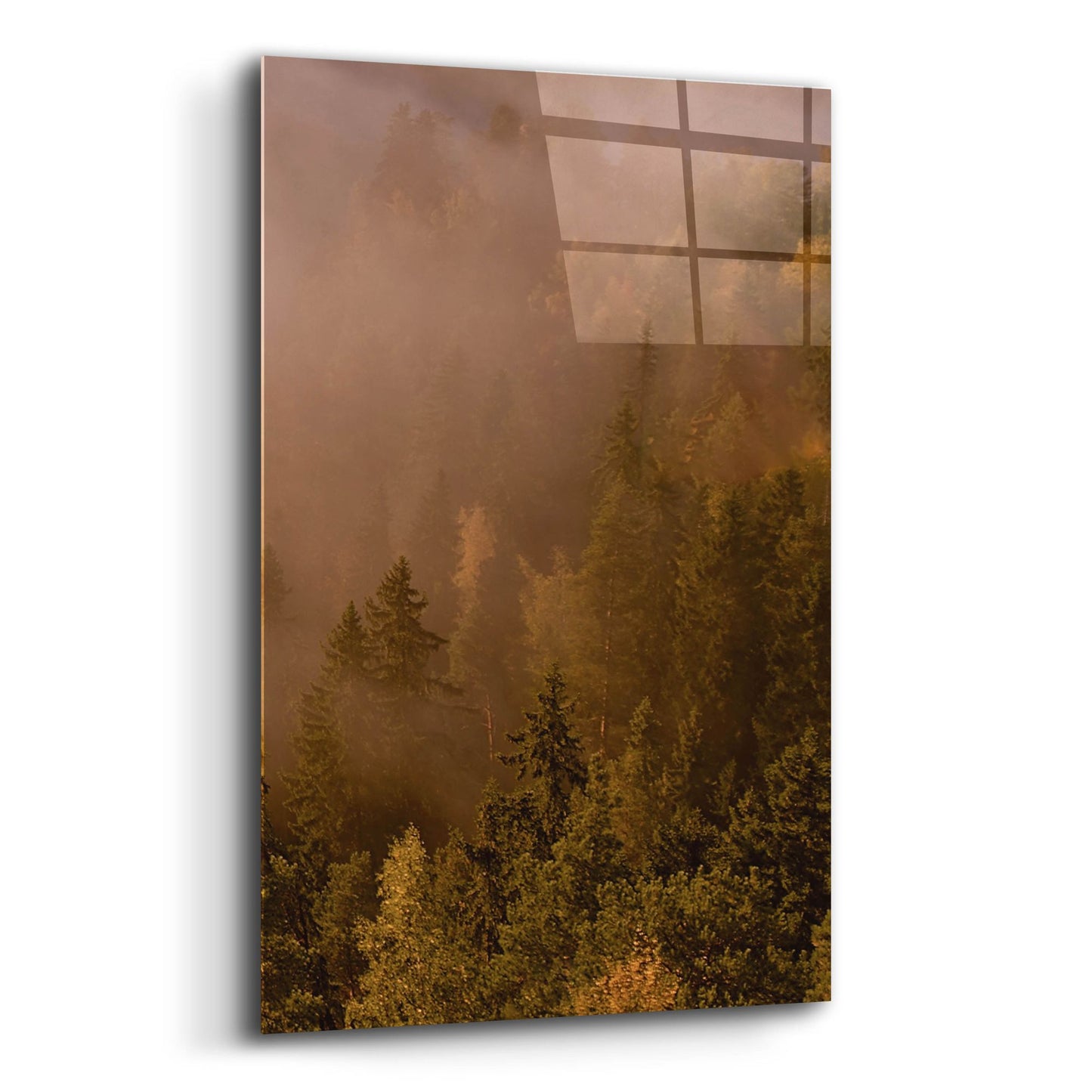 Epic Art 'Autumn Forest' by Photoinc Studio, Acrylic Glass Wall Art,12x16