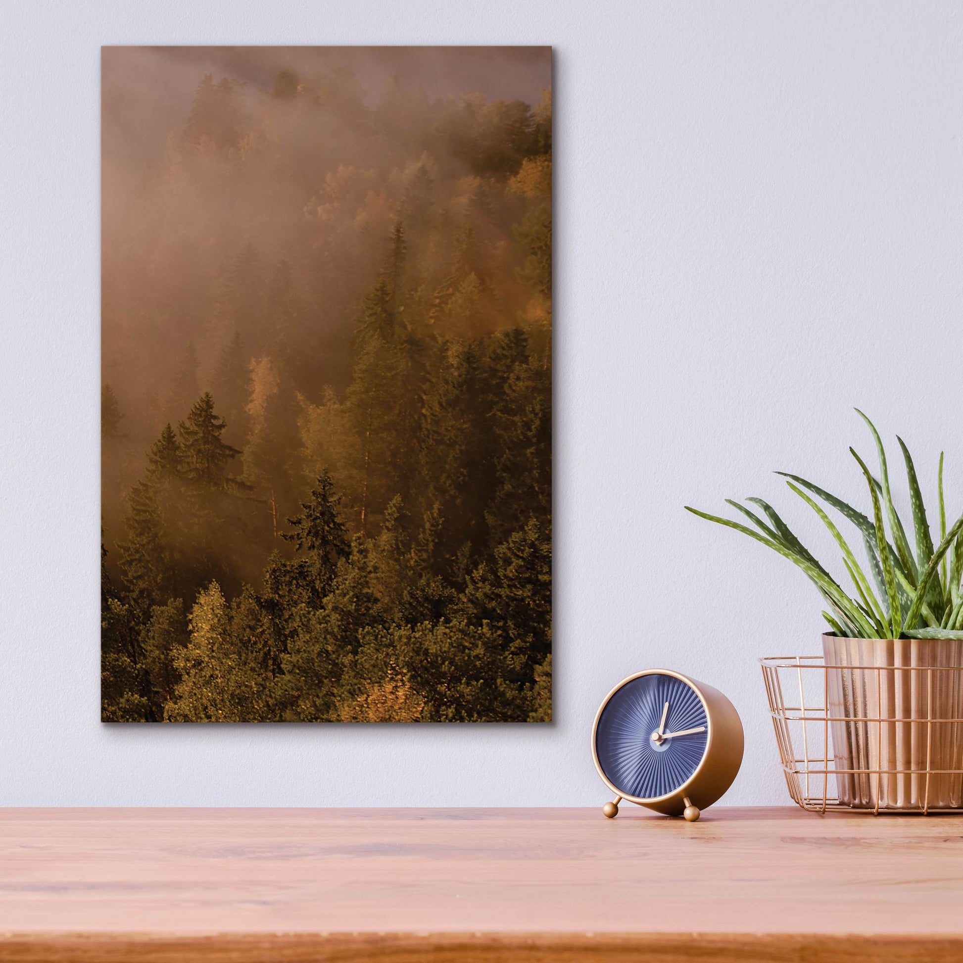 Epic Art 'Autumn Forest' by Photoinc Studio, Acrylic Glass Wall Art,12x16