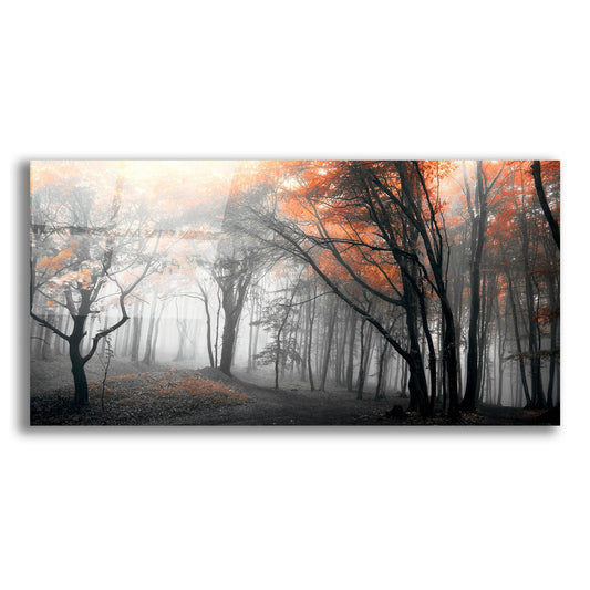 Epic Art 'Autumn Woods 1' by Photoinc Studio, Acrylic Glass Wall Art