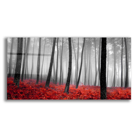 Epic Art 'Autumn Woods 2' by Photoinc Studio, Acrylic Glass Wall Art
