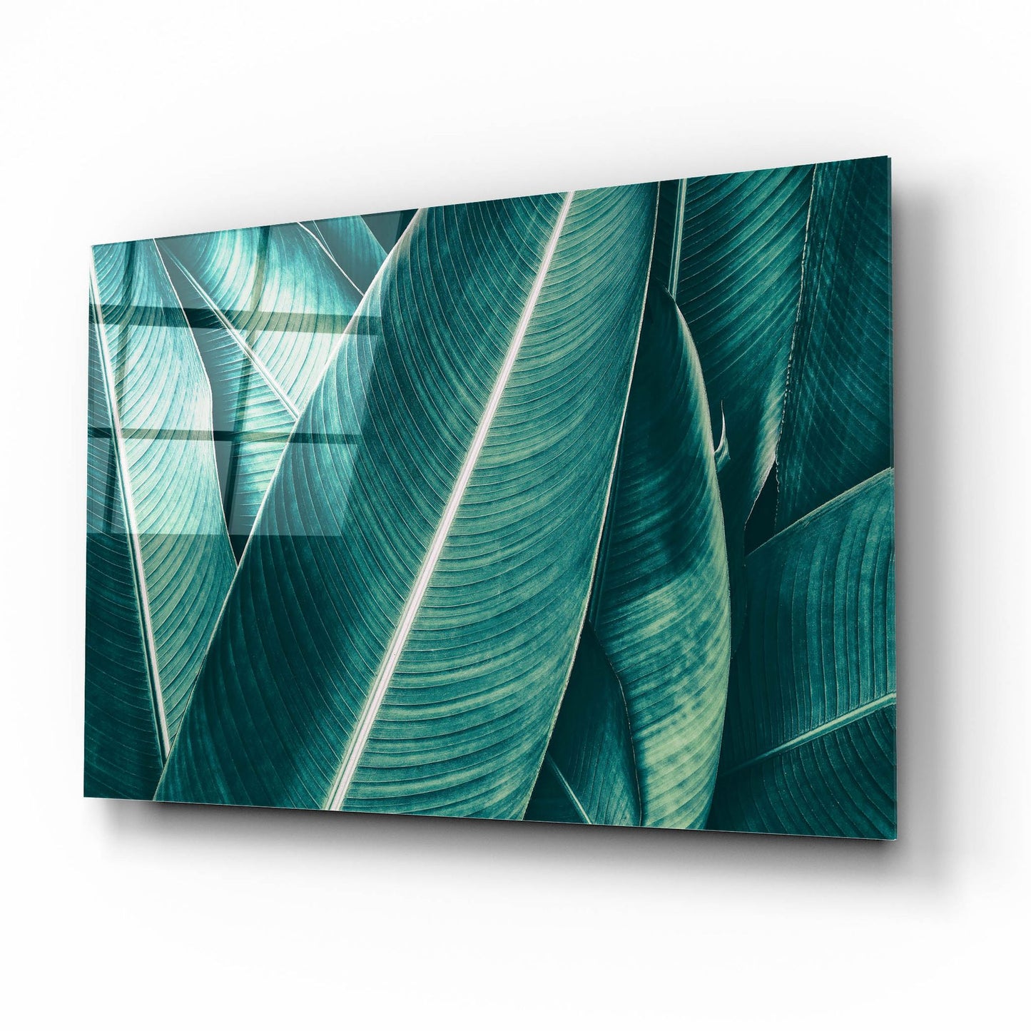 Epic Art 'Banana' by Photoinc Studio, Acrylic Glass Wall Art,16x12