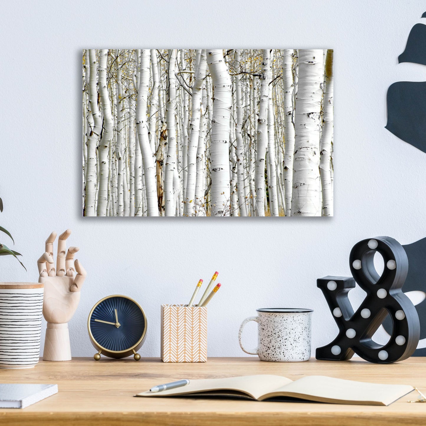 Epic Art 'Birch Wood' by Photoinc Studio, Acrylic Glass Wall Art,16x12