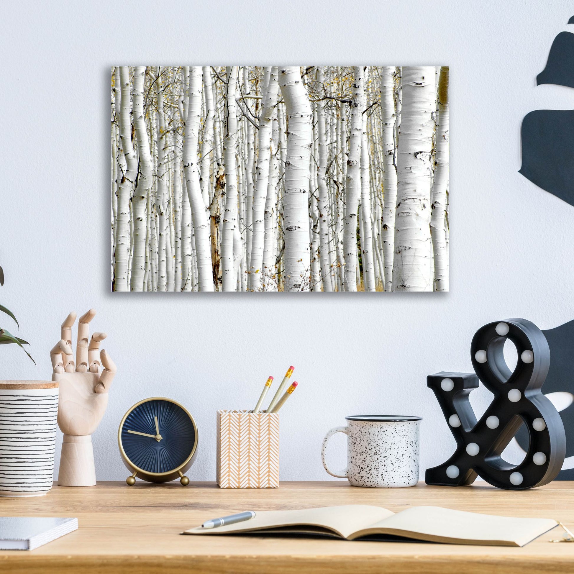 Epic Art 'Birch Wood' by Photoinc Studio, Acrylic Glass Wall Art,16x12