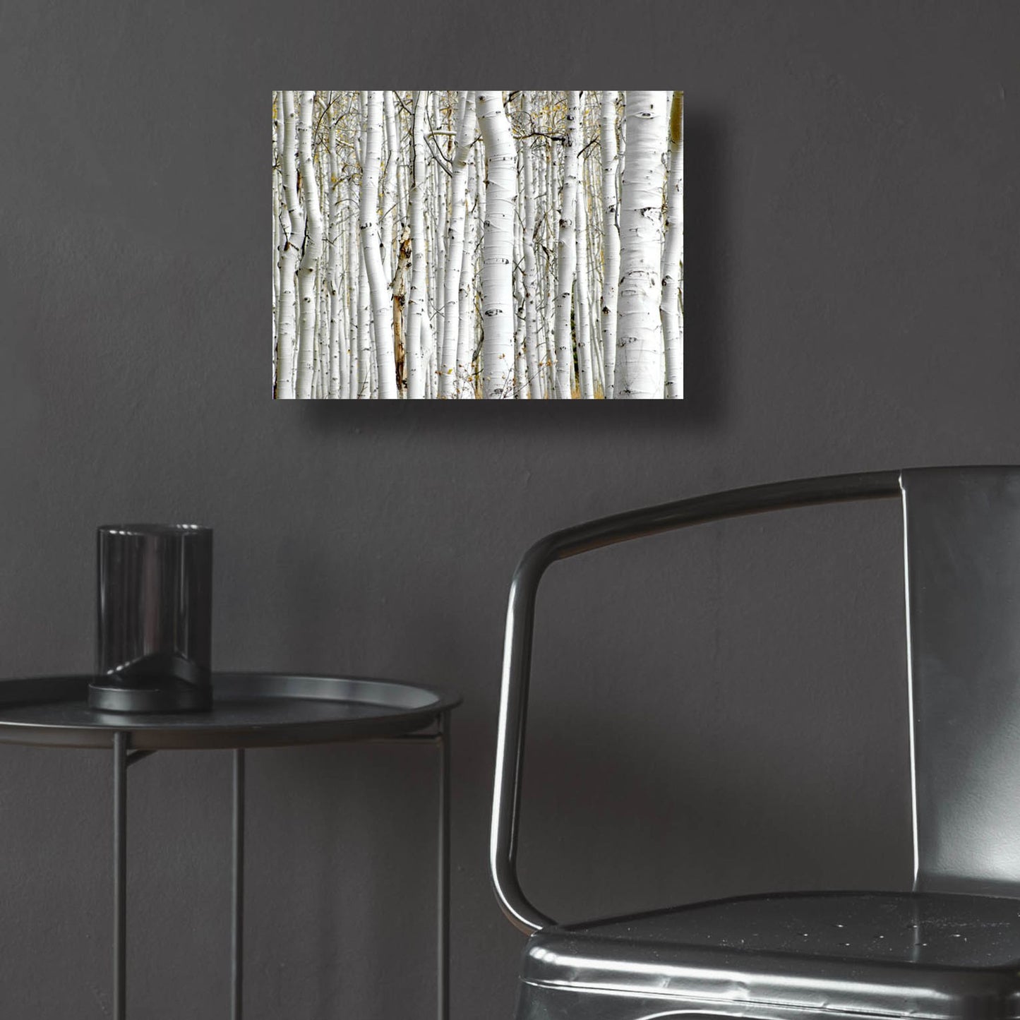Epic Art 'Birch Wood' by Photoinc Studio, Acrylic Glass Wall Art,16x12