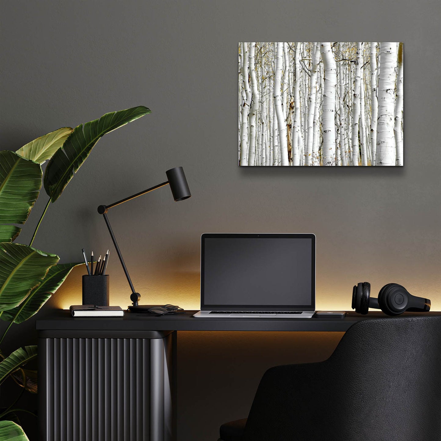 Epic Art 'Birch Wood' by Photoinc Studio, Acrylic Glass Wall Art,16x12