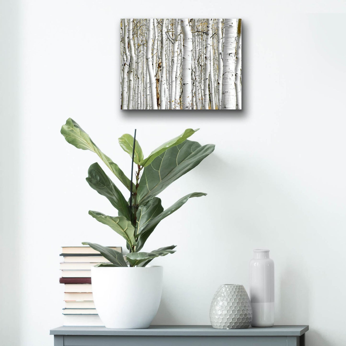 Epic Art 'Birch Wood' by Photoinc Studio, Acrylic Glass Wall Art,16x12