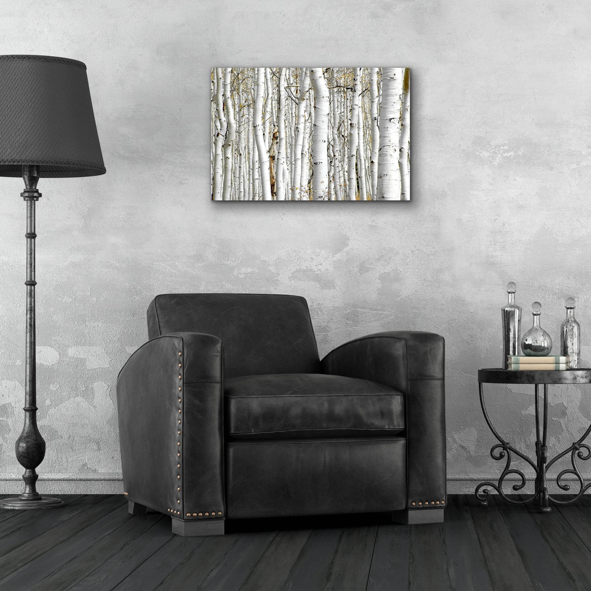 Epic Art 'Birch Wood' by Photoinc Studio, Acrylic Glass Wall Art,24x16