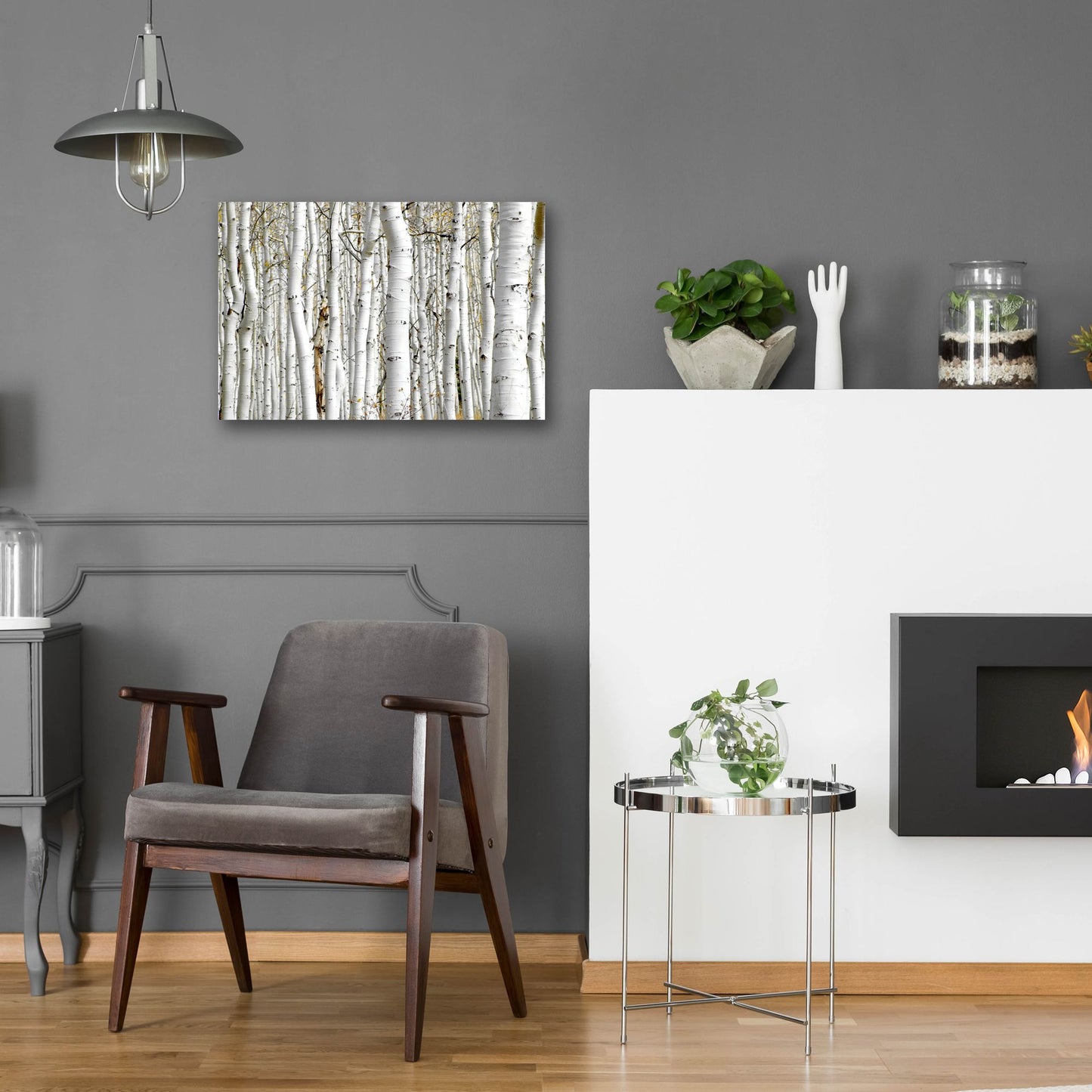 Epic Art 'Birch Wood' by Photoinc Studio, Acrylic Glass Wall Art,24x16