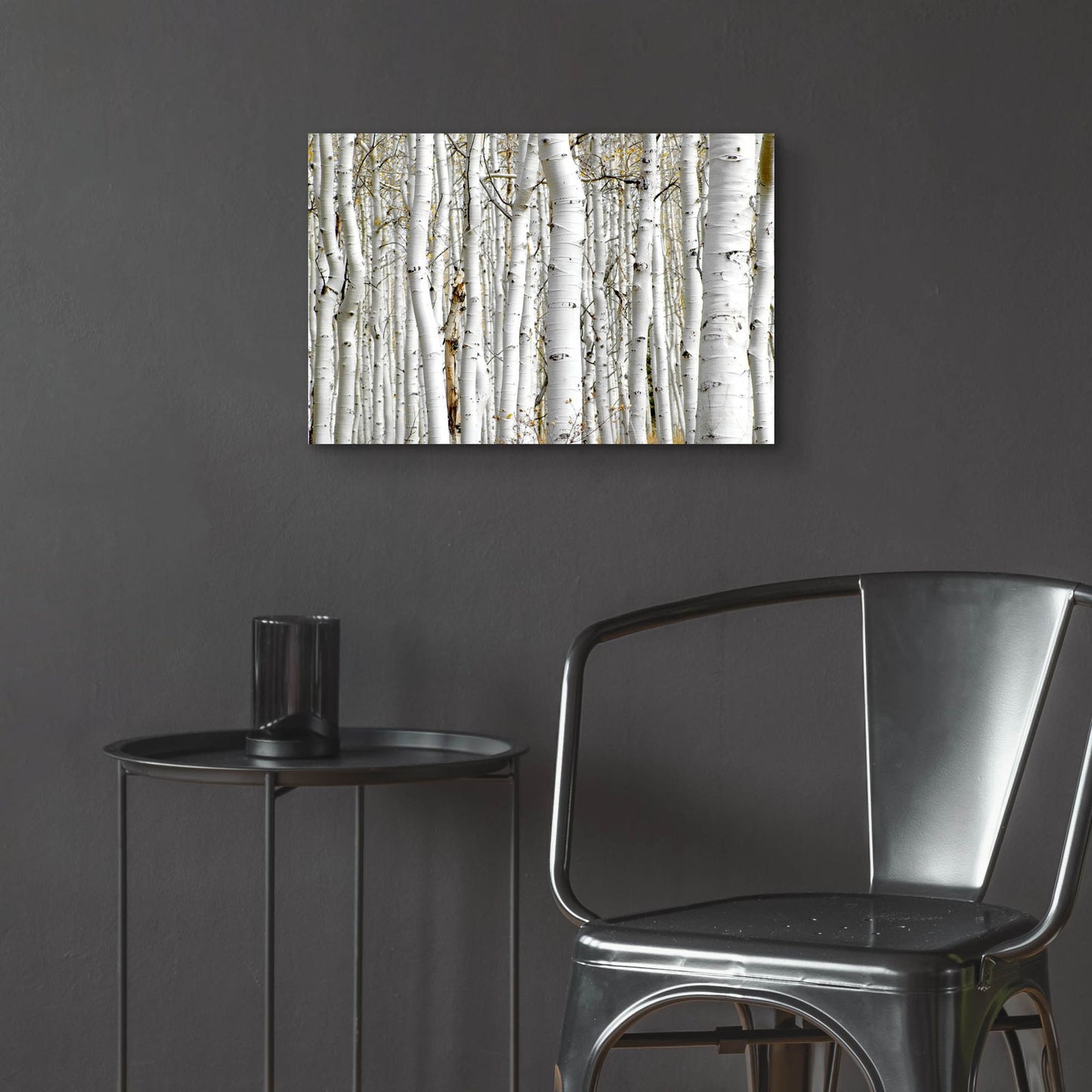 Epic Art 'Birch Wood' by Photoinc Studio, Acrylic Glass Wall Art,24x16