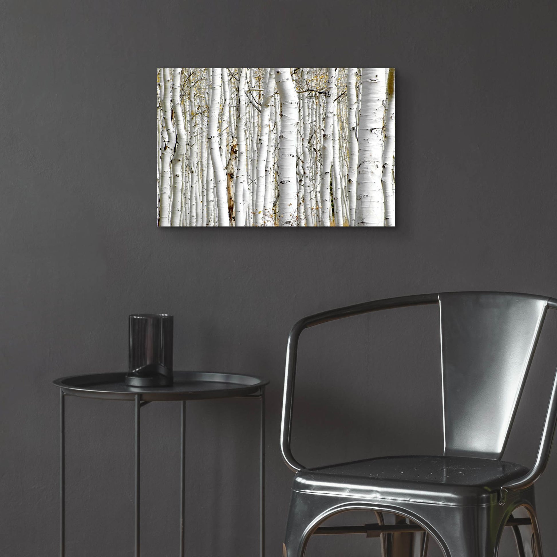 Epic Art 'Birch Wood' by Photoinc Studio, Acrylic Glass Wall Art,24x16