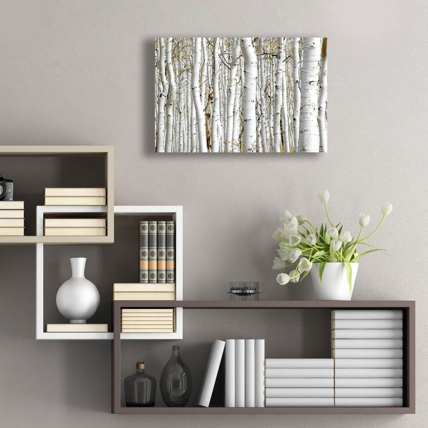 Epic Art 'Birch Wood' by Photoinc Studio, Acrylic Glass Wall Art,24x16