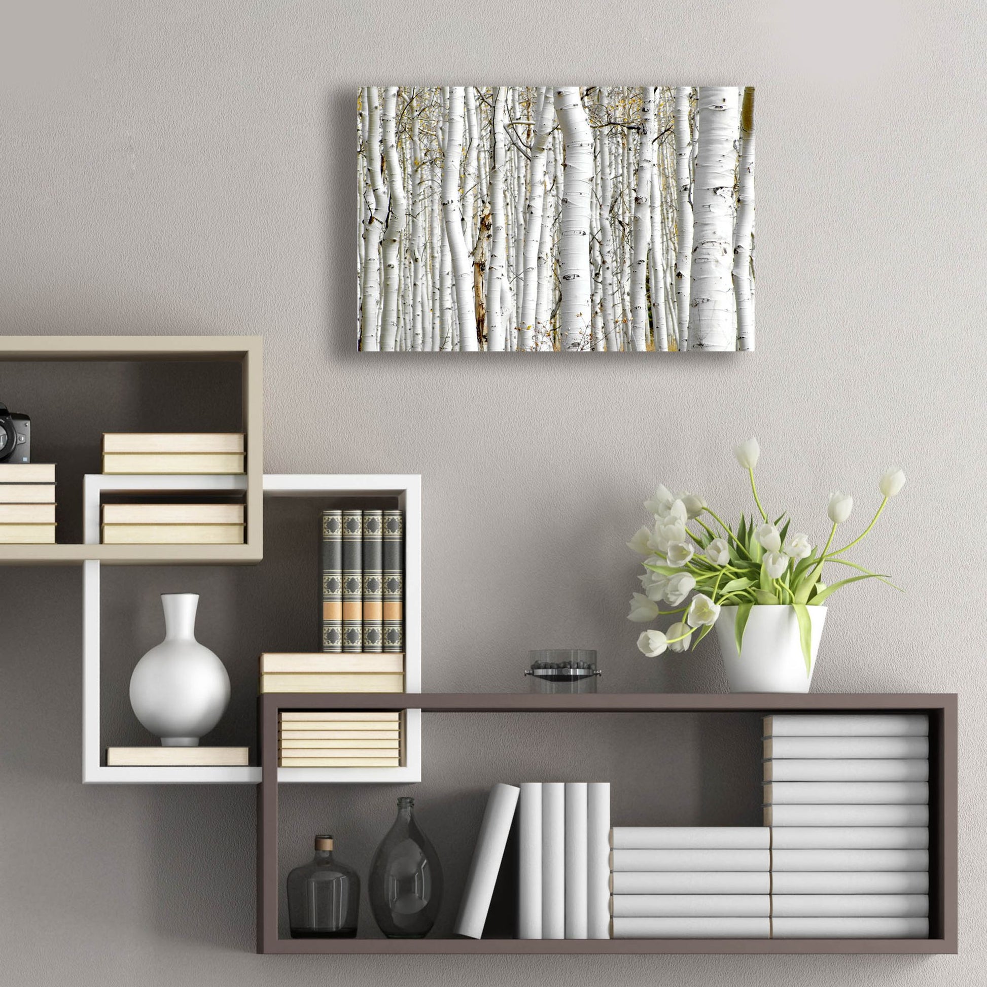 Epic Art 'Birch Wood' by Photoinc Studio, Acrylic Glass Wall Art,24x16