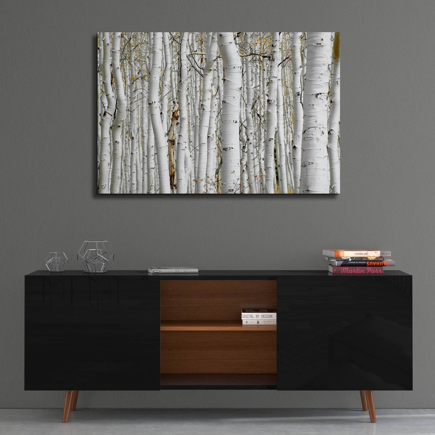 Epic Art 'Birch Wood' by Photoinc Studio, Acrylic Glass Wall Art,36x24